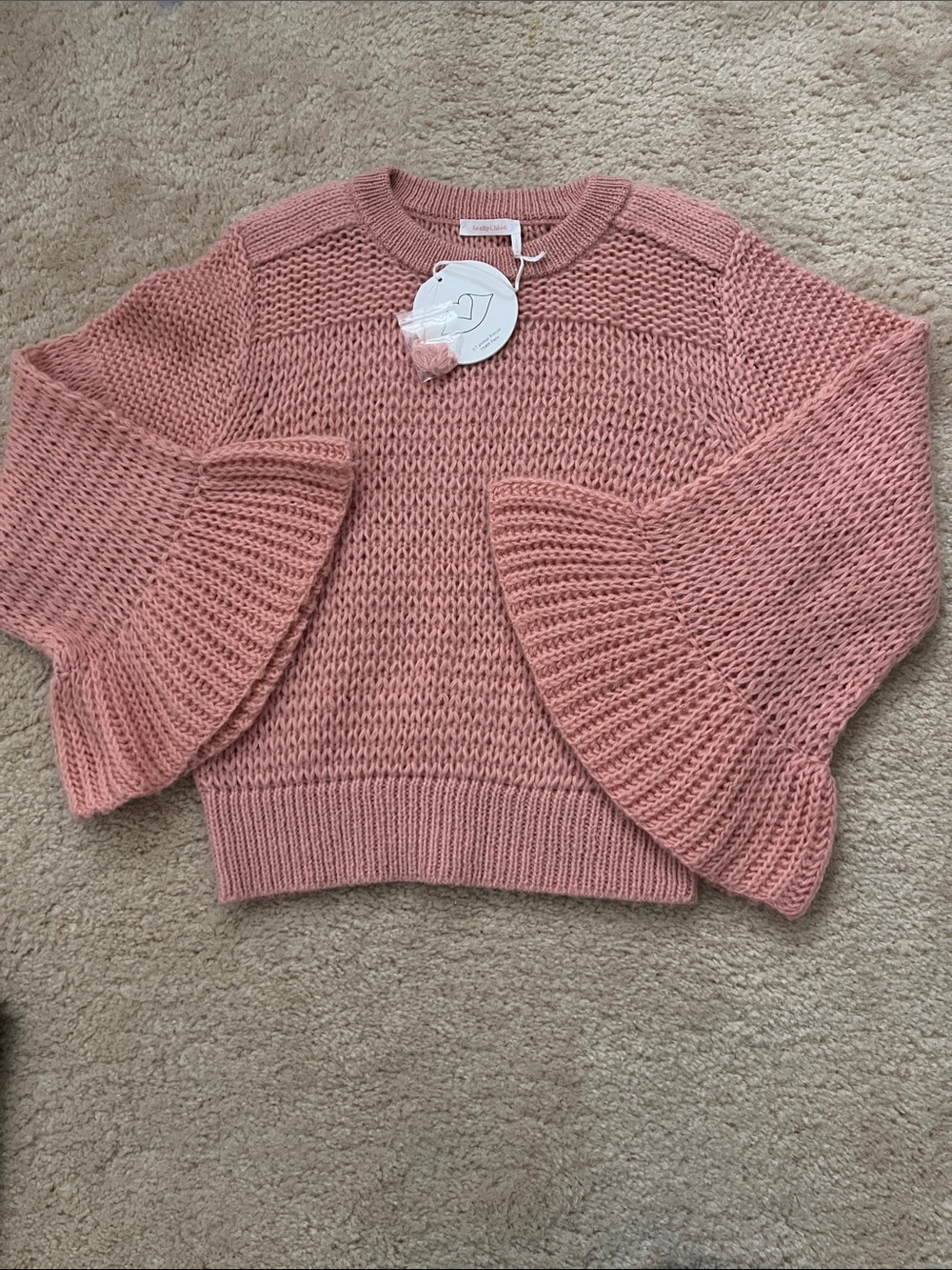 SeeByChloe Sweater
